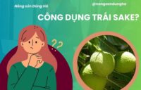 cong-dung-trai-sake