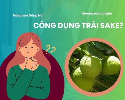 cong-dung-trai-sake