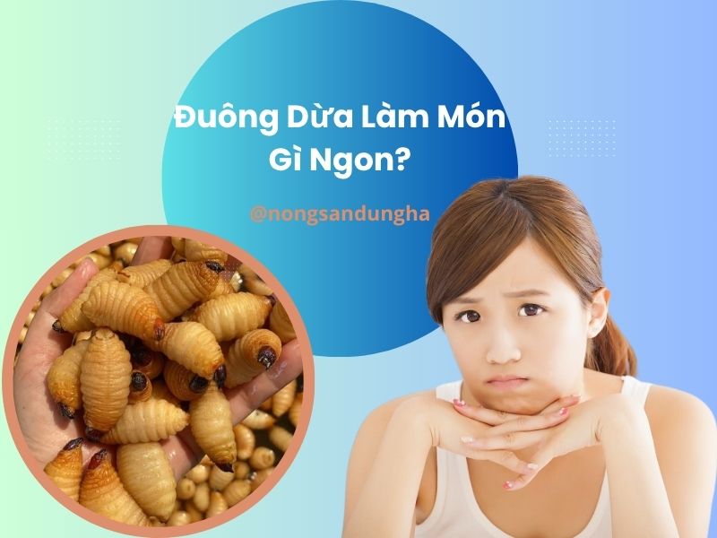 duong-dua-lam-mon-gi-ngon