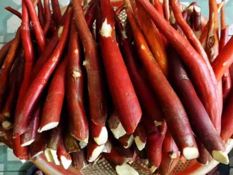 nhung-tac-dung-cua-sam-cau