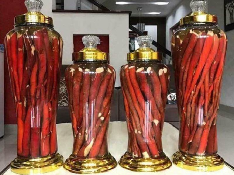 tac-dung-cua-sam-cau-tot-nhu-the-nao