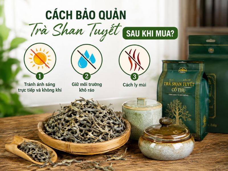 mua-tra-shan-tuyet-o-dau-gia-re