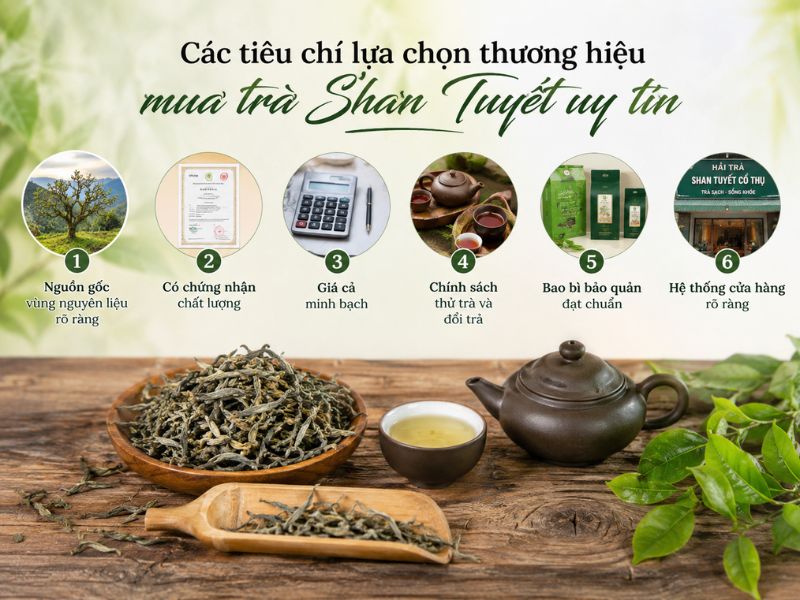 mua-tra-shan-tuyet-o-dau-gia-tot