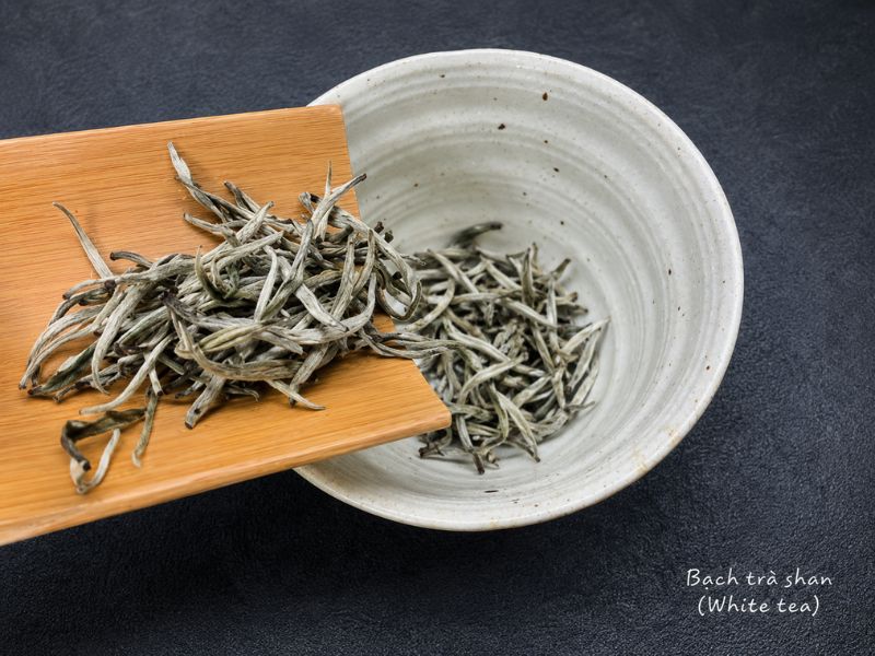 mua-tra-shan-tuyet-o-dau