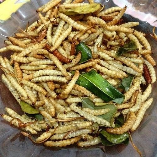 dia-chi-mua-sau-chit-o-ha-noi