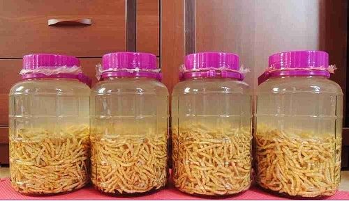 mua-sau-chit-ngam-ruoi-o-dau