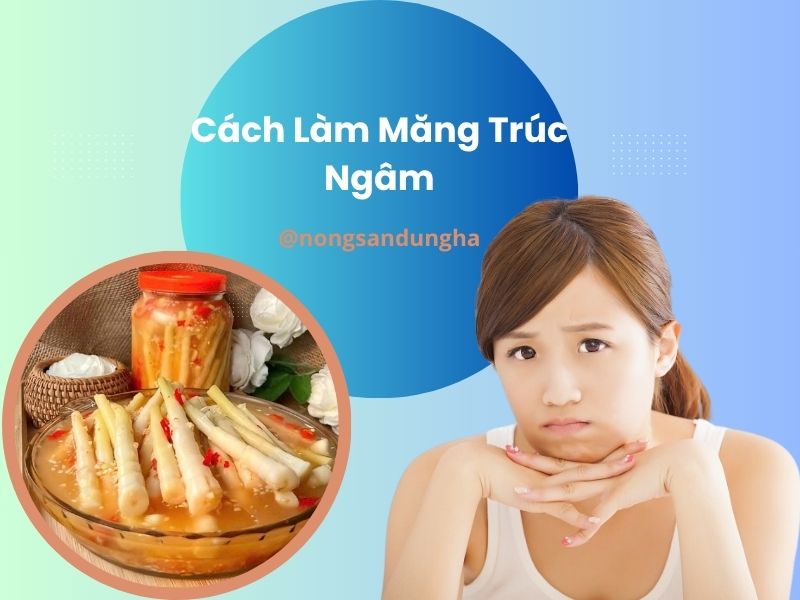 cach-lam-mang-truc-ngam