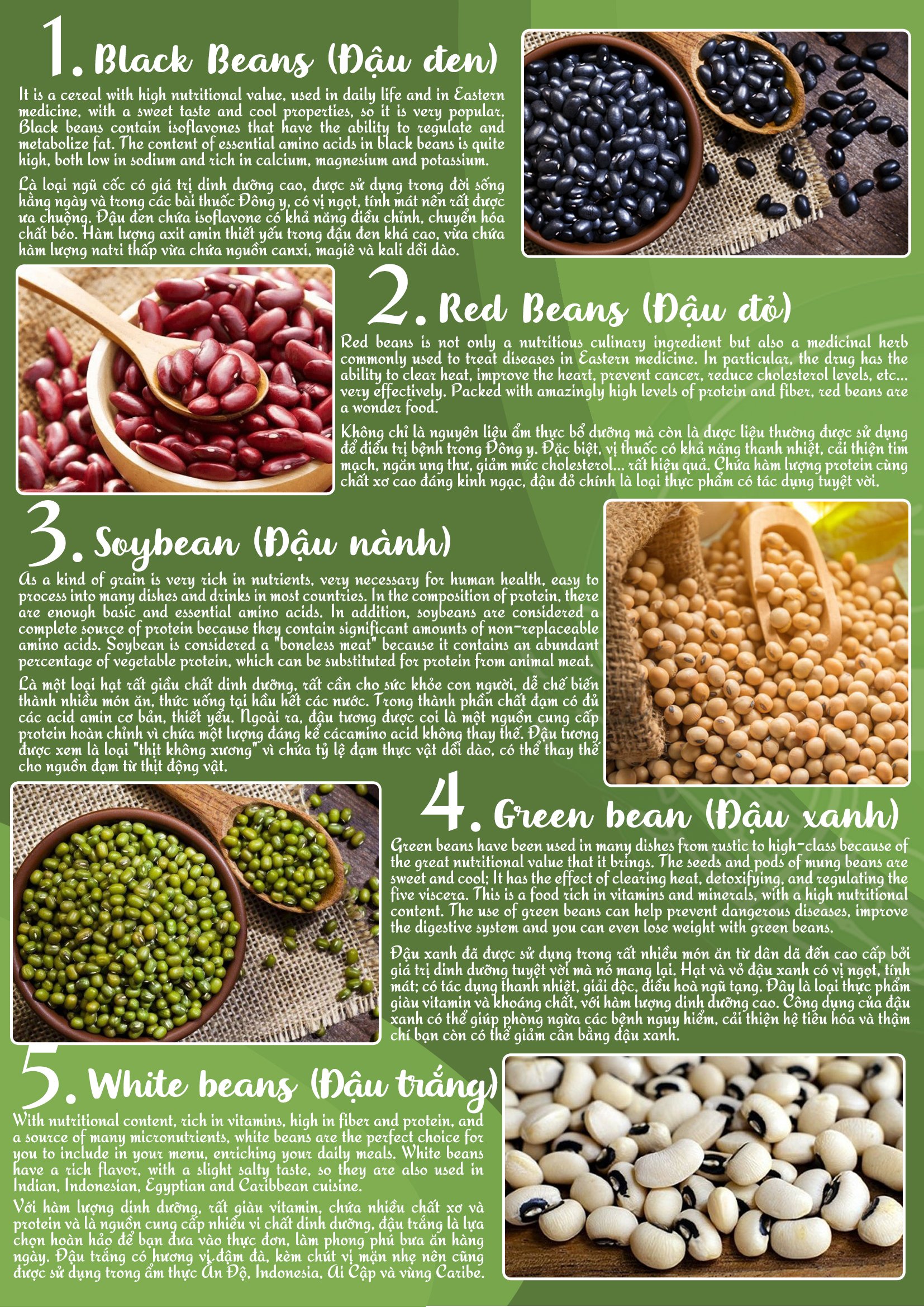 dung-ha-cung-cap-thuc-pham-sach-chat-luong