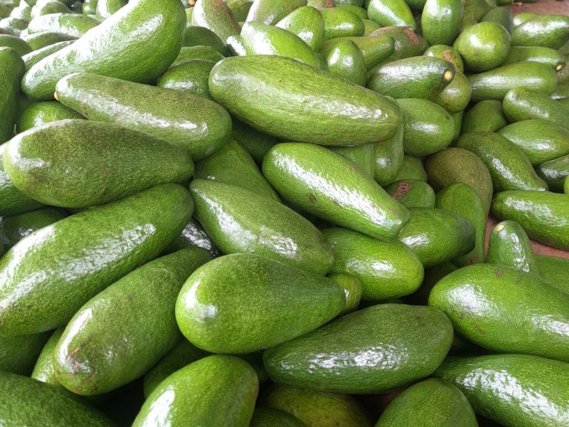 cach-chon-bo-sap-ngon-dua-vao-dung-mua-vu