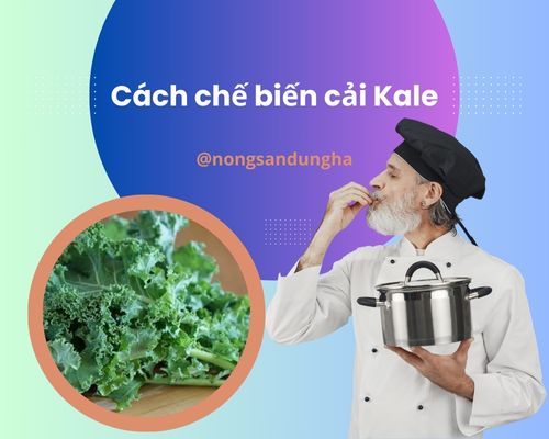 cach-che-bien-cai-kale