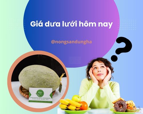 gia-dua-luoi-hom-nay