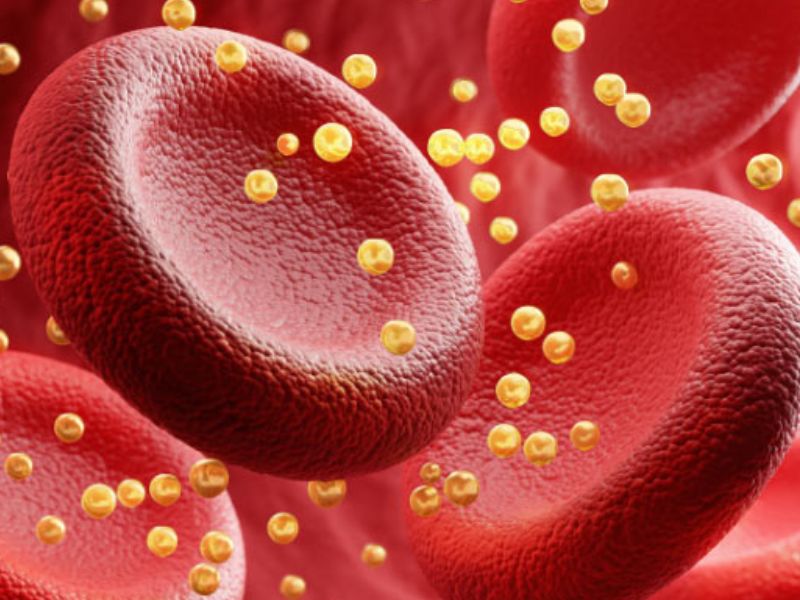 Giup-dieu-hoa-cholesterol