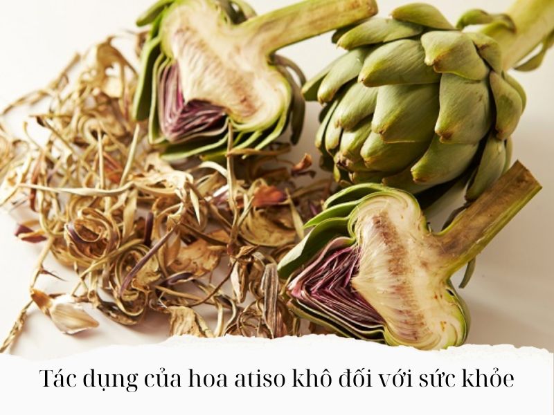 Tac-dung-cua-hoa-atiso-kho-doi-voi-suc-khoe