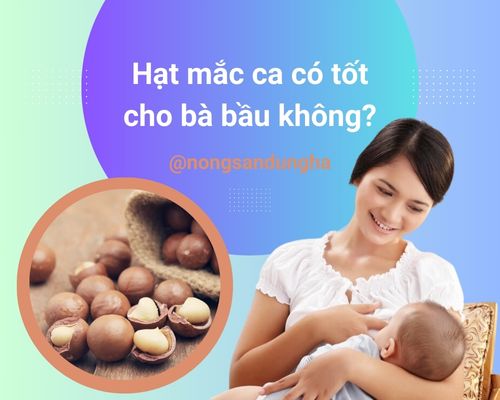 hat-mac-ca-co-tot-cho-ba-bau-khong