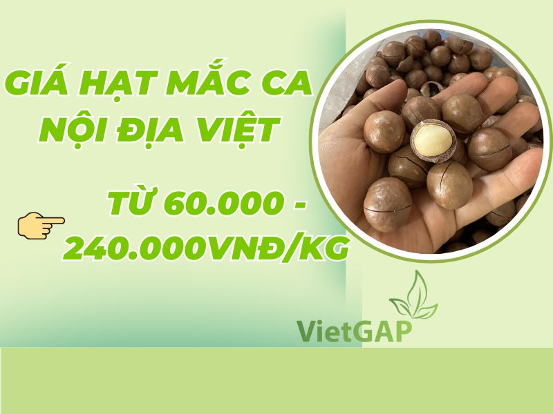 goc-thac-mac-hat-mac-ca-gia-bao-nhieu
