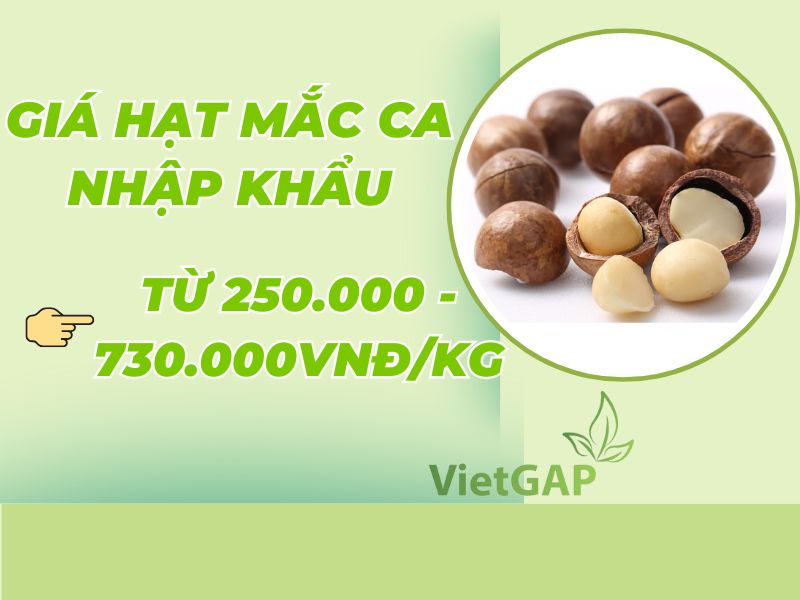 thac-mac-hat-mac-ca-gia-bao-nhieu