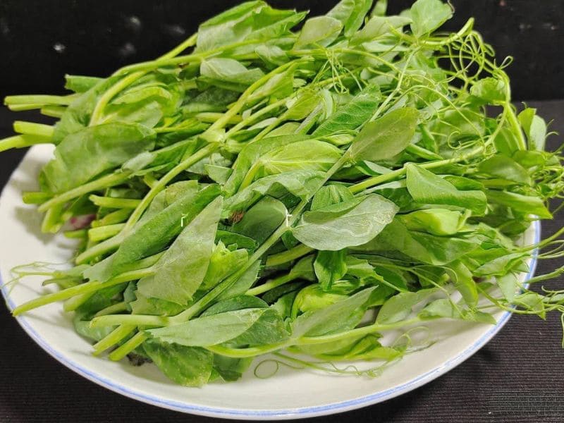 tim-hieu-rau-dau-ha-lan-lam-mon-gi-ngon