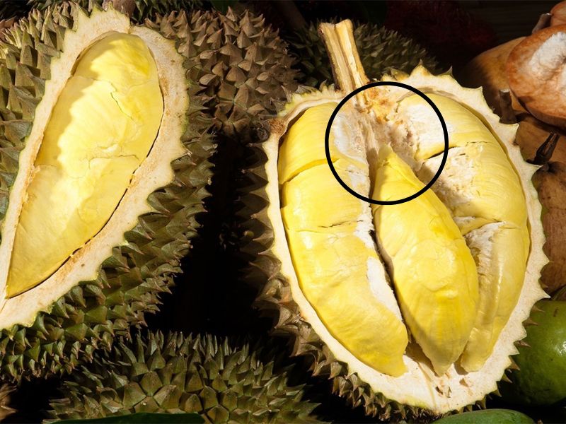 Mách Bạn 5+ Cách Ăn Sầu Riêng Không Bị Nóng, Không Nổi Mụn Bat-Mi-Cach-An-Sau-Rieng-Khong-Bi-Nong