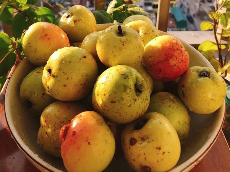 cach-lam-tao-meo-kho