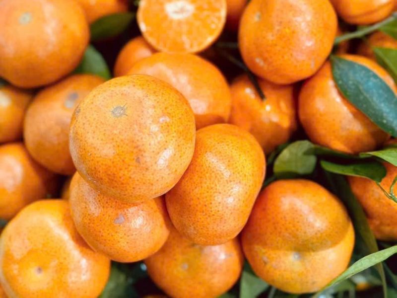 cach-phan-biet-cam-canh-trung-quoc