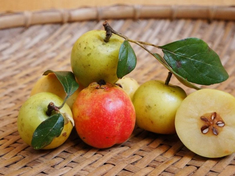 thac-mac-cach-lam-tao-meo-kho