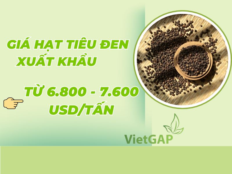 gia-hat-tieu-den-viet-nam-xuat-khau