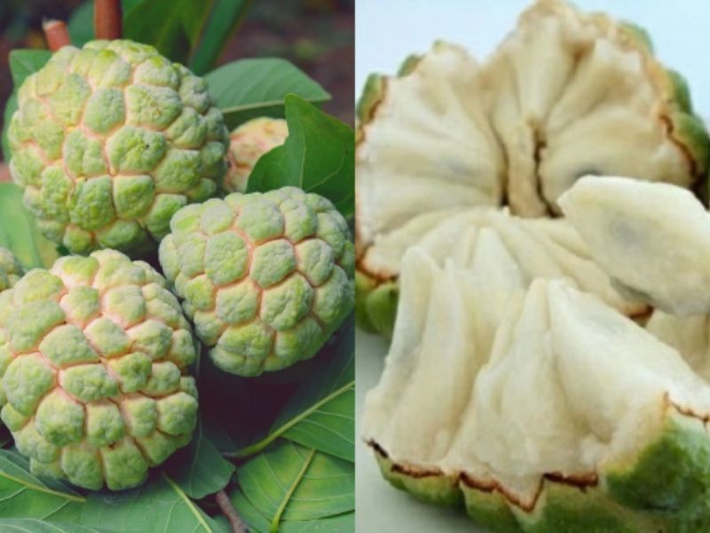 Ai-khong-nen-an-na