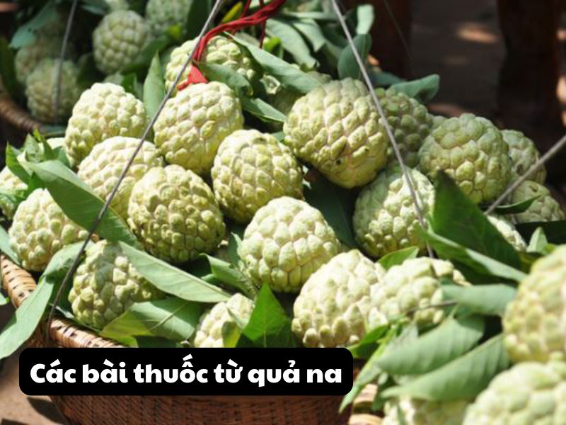 Bai-thuoc-tu-qua-na