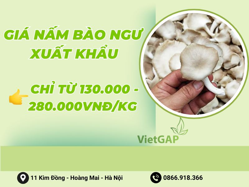 gia-nam-bao-ngu-xuat-khau