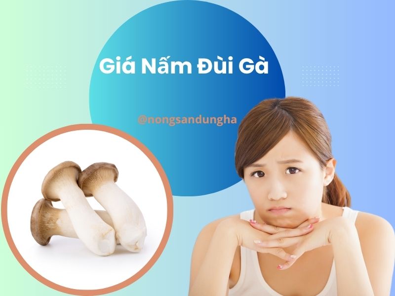 gia-nam-dui-ga