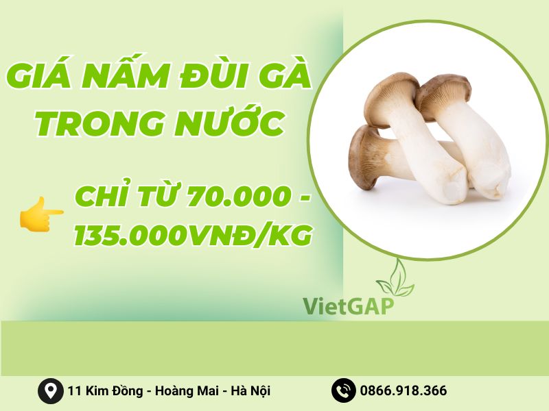 gia-nam-dui-ga-trong-nuoc