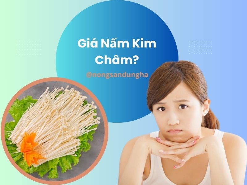 gia-nam-kim-cham