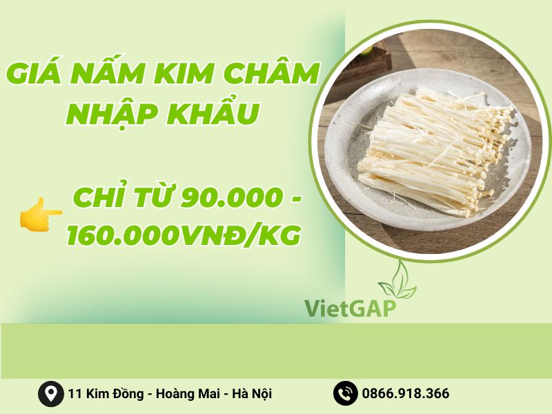gia-nam-kim-cham-nhap-khau