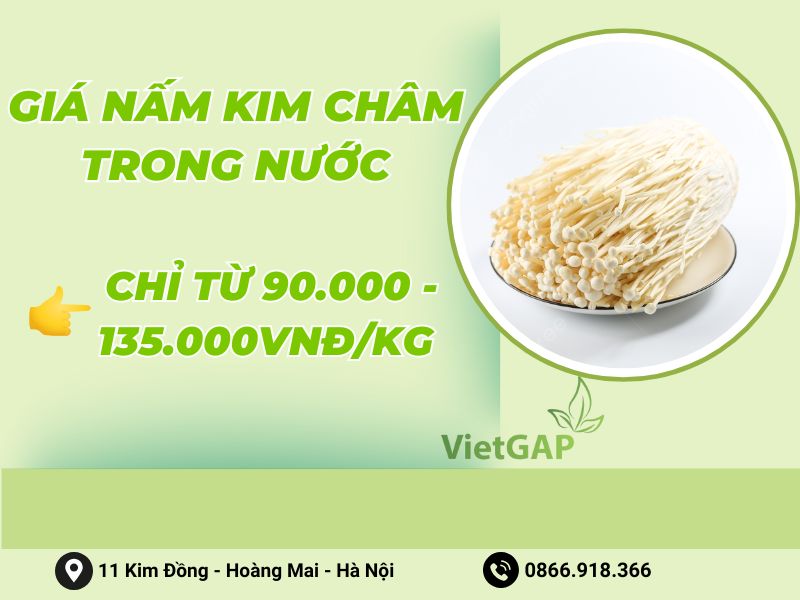 gia-nam-kim-cham-trong-nuoc