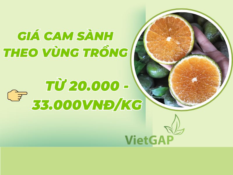 goc-thac-mac-gia-cam-sanh-hom-nay