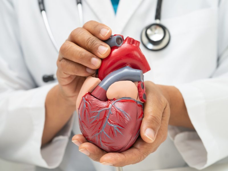 mua-mang-cau-xiem-o-dau