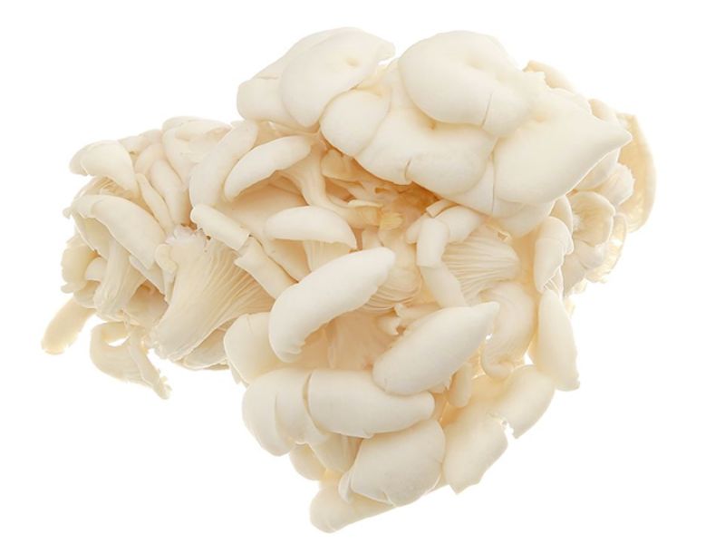 nong-san-dung-ha-dia-chi-cung-cap-nam-bao-ngu-gia-re