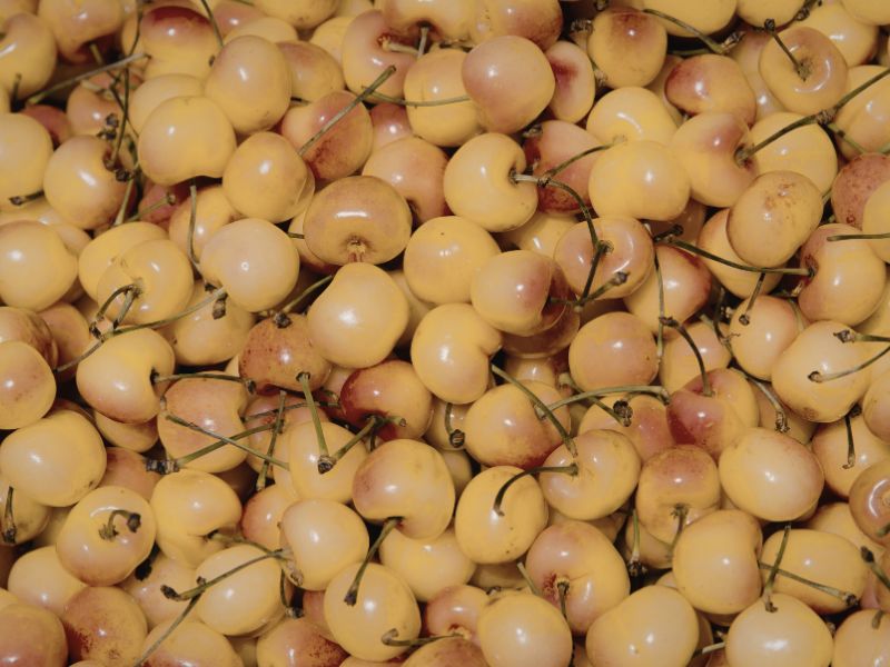 chia-se-cach-ngam-ruou-sen.jpg