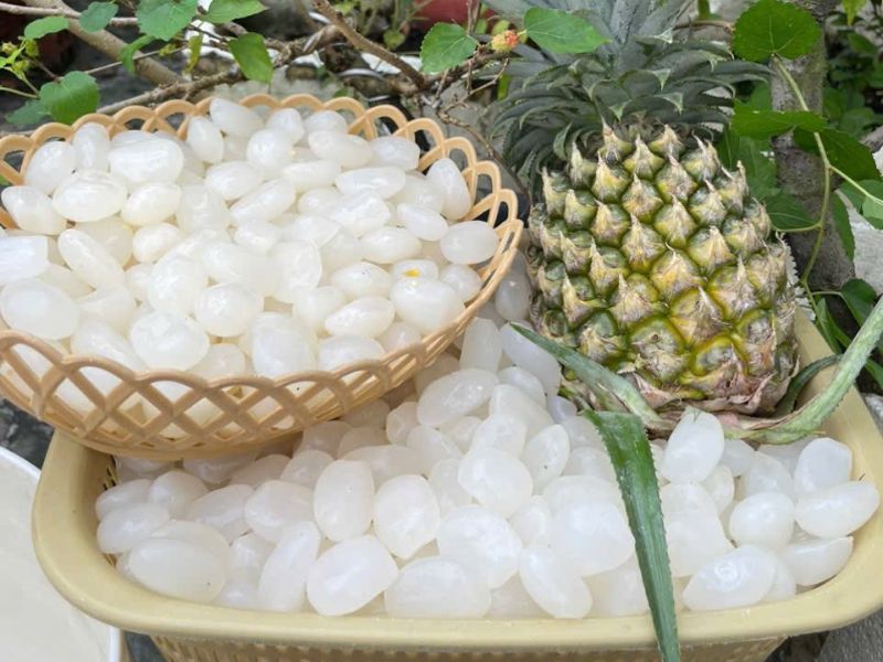 goc-thac-mac-hat-dac-va-thot-not-co-giong-nhau-khong