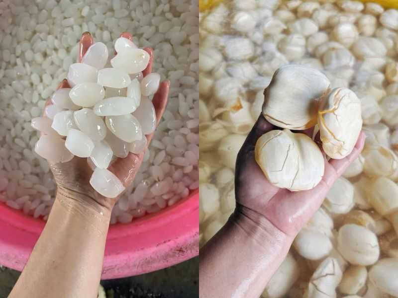 tim-hieu-hat-dac-va-thot-not-co-giong-nhau-khong