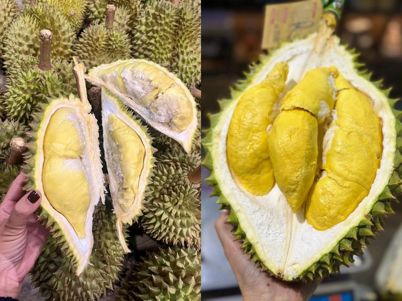phan-biet-sau-thai-va-ri6