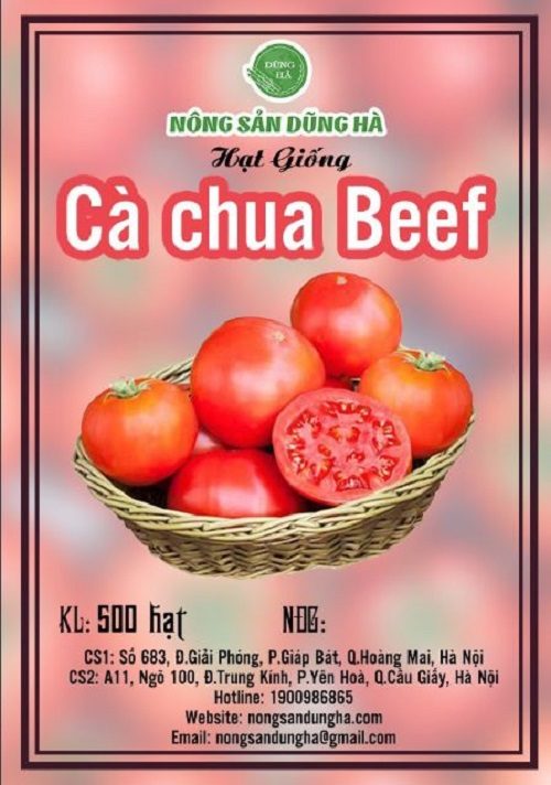 Hạt giống cà chua beef