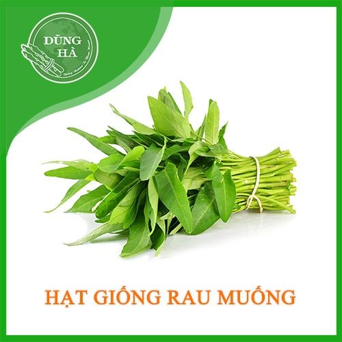 hat giong rau muong