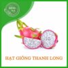 hat giong thanh long