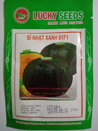 hat giong bi nhat xanh