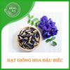 Hạt giống hoa đậu biếc