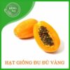 hat giong du du vang