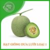 hat giong dua luoi xanh