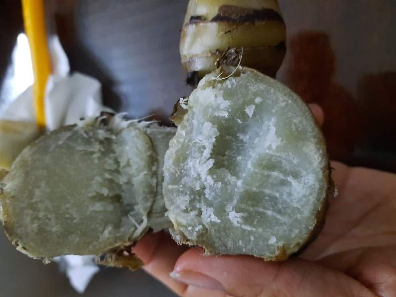 goc-ban-khoan-cac-loai-khoai-pho-bien