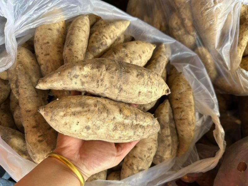 goc-xem-them-cac-loai-khoai-pho-bien